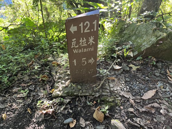 [玉山尋寶任務-03/12] 2025_0810 瓦拉米步道2857412