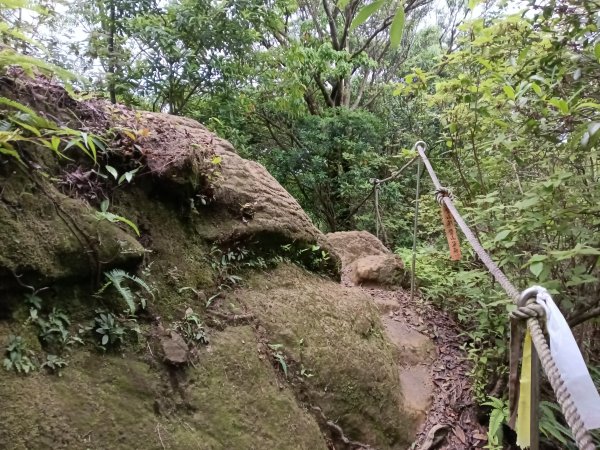 平溪區三功大厝+番子坑山+千階嶺步道O型2781183