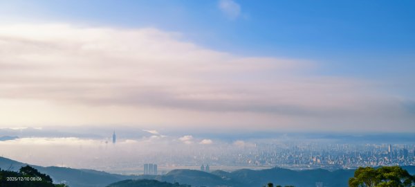 陽明山趴趴走 12/102958580