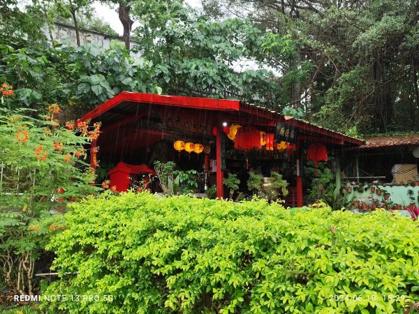 圓山花博健走步道、中山區上班族健走步道、臨濟護國禪寺【走路趣尋寶，全臺齊步走】2530378