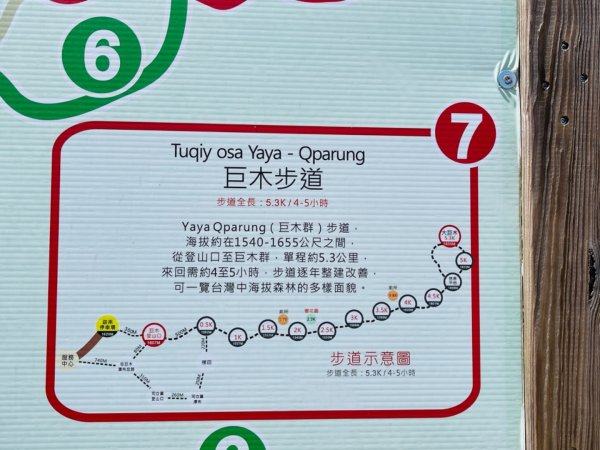 1140824司馬庫斯觀霸步道-賞楓步道2871094