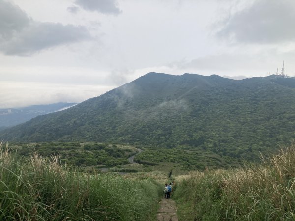 大屯山登山步道2472582