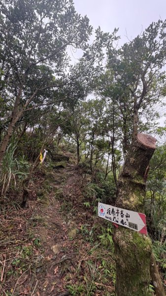 戲水2805569