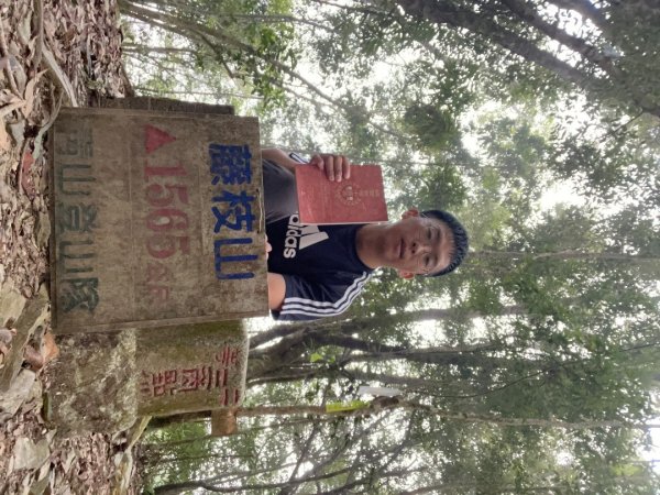 20251115_藤枝山（高雄小百岳）2941539