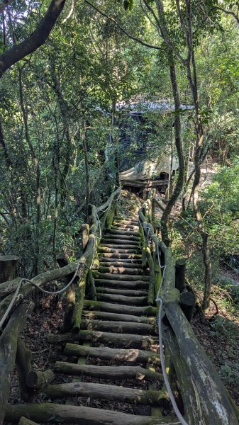 【台灣健行】台中大坑 5-1、5 頭嵙山2874069