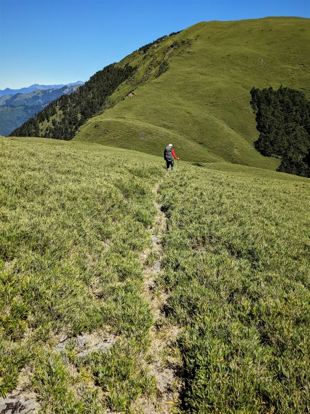 不一樣的角度欣賞奇萊南華之美登尾上山上深堀山經能高越嶺道兩日微探勘O型1886406