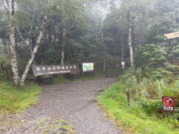 宜蘭 南澳 台灣山毛櫸國家步道1881392