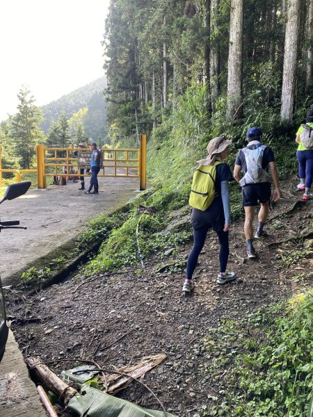 20250713-Ep.09油羅山步道-2025森遊竹縣皮皮獅探險隊2851877