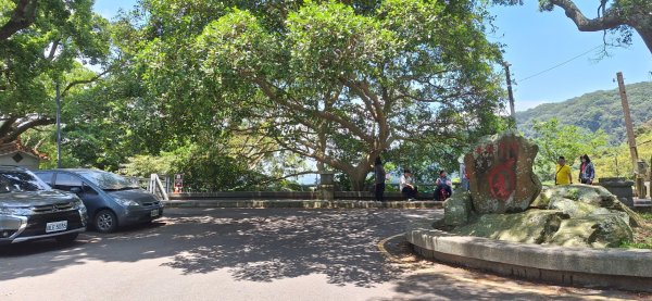 【2024觀音觀鷹尋寶任務】一日走完七條步道完成!2508392