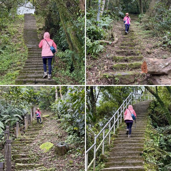 汐止大尖山-202503172770531