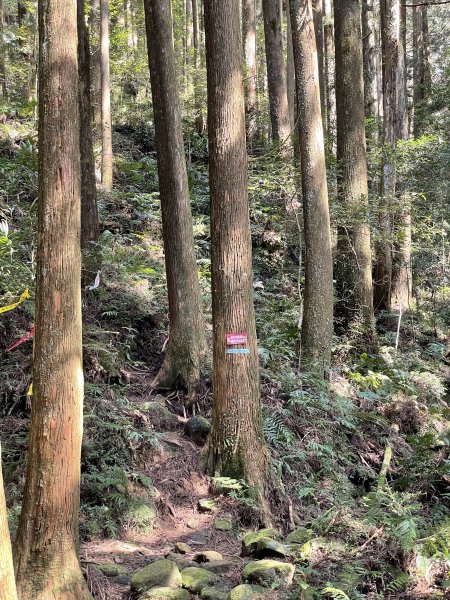 2020/03/12 那結山＆貴妃山 O形縱走1650327