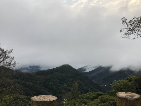 東眼森林遊樂區慢活樂趣526136