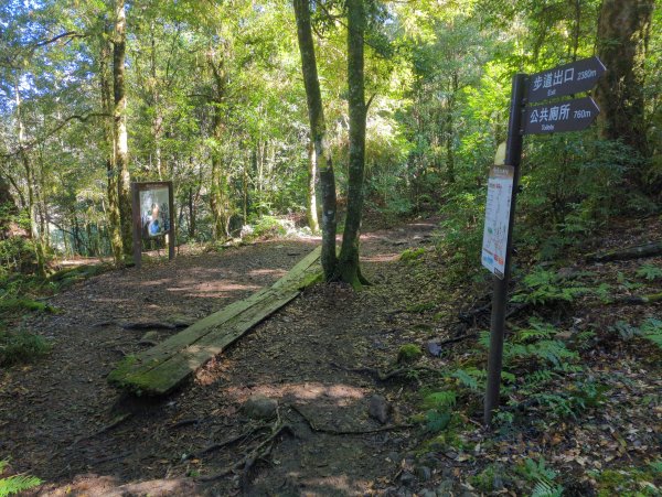 2026.01.03－鎮西堡B區神木群2981159