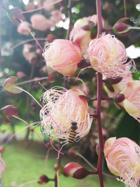 頭城烏石港-蘭陽博物館-龜山島401兩日遊
