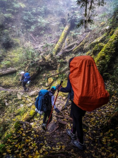 【新竹五峰尖石】霞喀羅國家步道、石鹿大山1227481