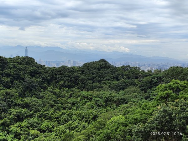 大湖公園→大溝溪生態治水園區→圓覺寺步道→圓覺瀑布→圓覺寺→鯉魚山步道【臺北大縱走 4、臺北健走趣】2849121