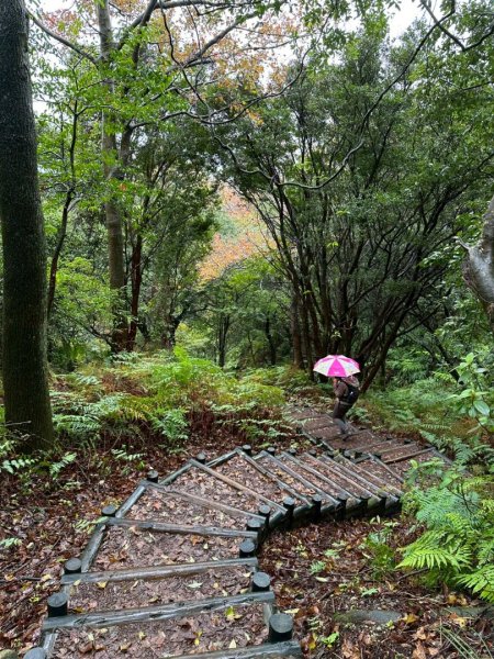 2026年元旦升旗快閃七星順探紫明溪2973989