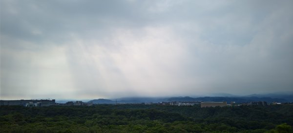 2025/08/17_三和晨光+石崎+背西步道O型2861578