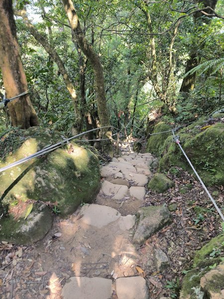 20250830天上山、旺旺嶺、太極嶺2874078