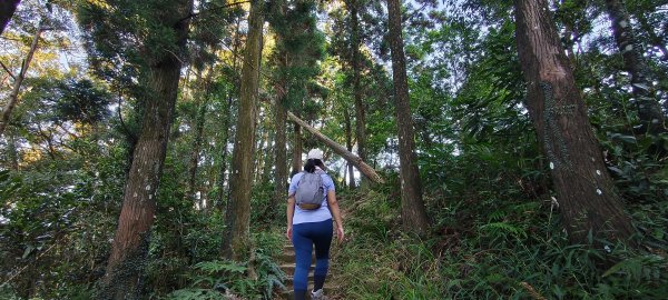 2025/09/29_仙山群峰2897328