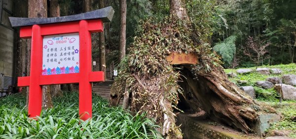 2023-01-01杉林溪青龍蕨類步道(青龍瀑布)、松瀧岩瀑布及天地眼步道1978904