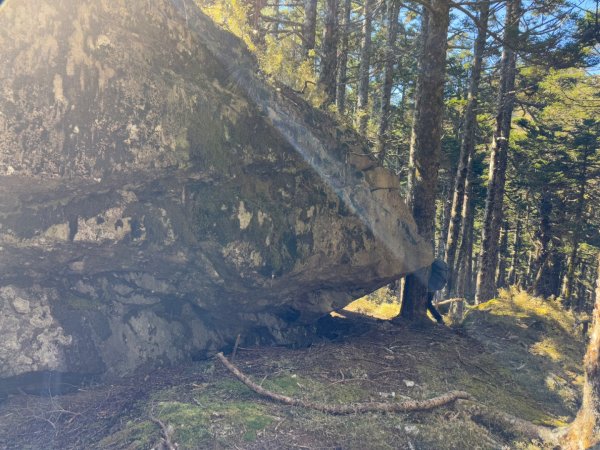 20250104-05 向陽縱走魔保來溪頭山出關山嶺山2683517