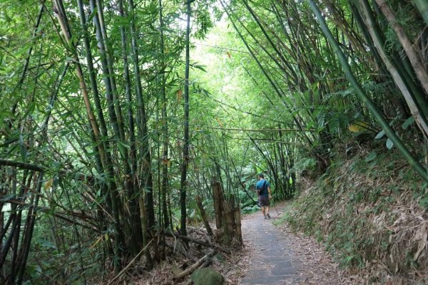 〔北投〕半嶺吊橋 半嶺水圳古道 半嶺瀑布 松溪瀑布。剛完工不久，滿滿森林芬多精的半嶺水圳步道2220906