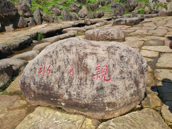 ［2023 台北大縱走第四段］（大湖捷運~楓櫃嘴）2189118