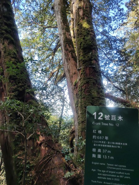 拉拉山國家森林公園封面
