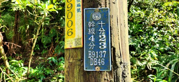 石燭尖，薯榔尖，石筍尖，菁桐古道，東勢格越嶺古道，月扇湖山，風露嘴山，四分子古道2035417