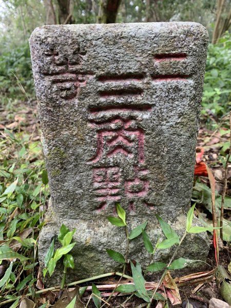 20250127屏東坪埔厝山-草山-南湖呂山西峰-南湖呂山2705093