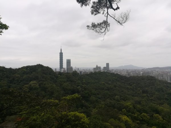 與母親爬山—虎山步道群/探訪秘境黃蟬園895177