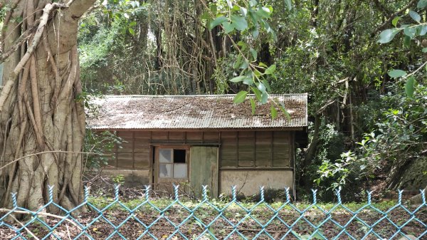 20250616崎頂子母隧道-南十八尖山-日出神社遺址-青草山2814280