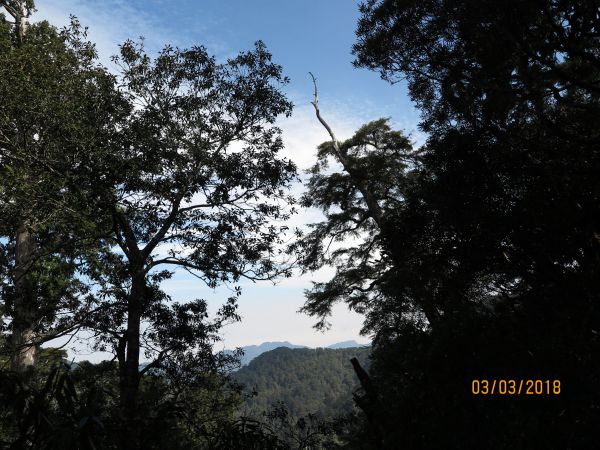 20180303 塔曼山294687