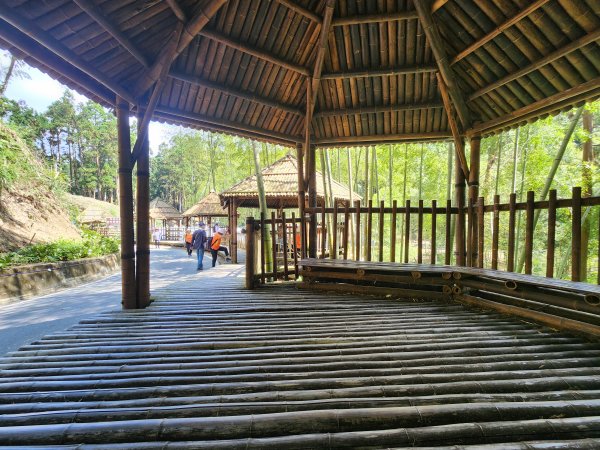 20251004雲頂之丘番子田山2927202