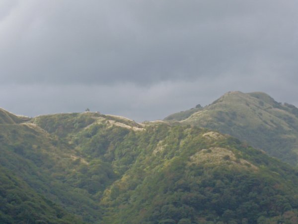 雙溪區不厭亭+草山公路+牡丹山+不厭亭+金字碑古道(探幽亭)+三貂崙+不厭亭8字走2941905