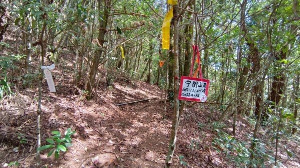 守城大山/守關山/守關山南峰1624737