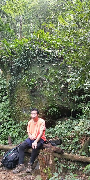 內鳥嘴山，北得拉曼神木群步道，瀑布初體驗1062595