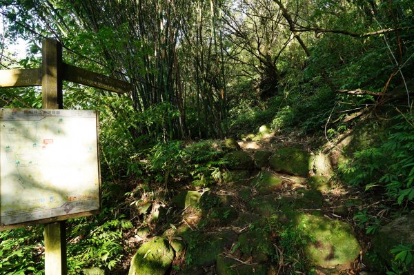 新北 萬里 鹿崛坪山、富士坪山、大尖山2353374