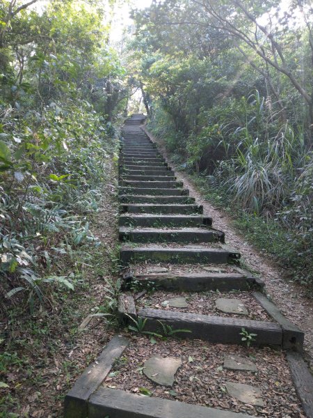 貓空隨意行［樟湖步道、待老坑山、杏花林、明德宮、樟山寺］及政大小坑溪親水文學步道(2021/4/6)1417883