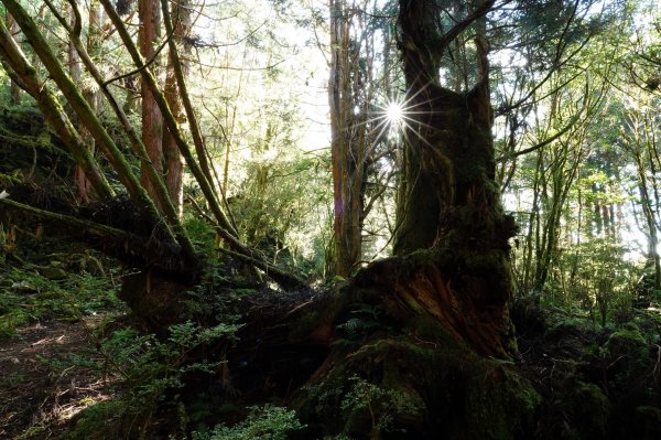 宜蘭 大同 三星山2890392