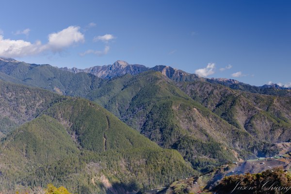 福壽山千櫻園櫻花季初開2717423