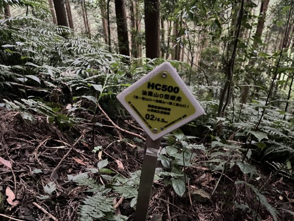 [皮皮獅探險隊-07/10] 2025_0719 油羅山步道2842697