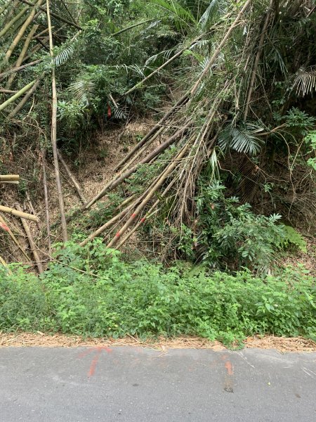 20251024台南光峰山2925646