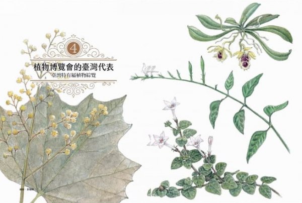 【書摘】《通往世界的植物：臺灣高山植物的時空旅史》－誰是臺灣島的代表