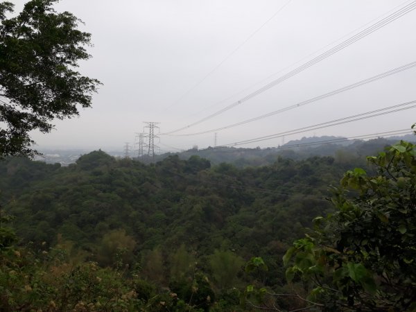 雲林林內龍過脈森林步道20190323550604