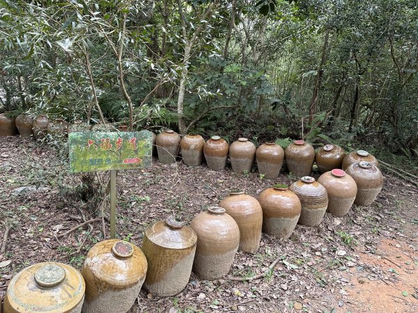 醉翁之意不在酒的【五酒桶山步道】輕鬆走～1900648