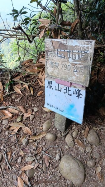 頭嵙山（小百岳 no.41）&石苓湖山O型親子團2326175