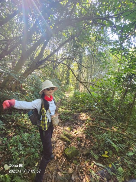 20251117新竹內灣三山四峰(內灣山.麥樹仁山南峰.麥樹仁山.白石湖山)2939886