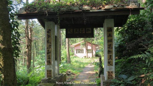 《苗栗》古道柳杉｜雲洞宮鳴鳳古道南長城步道登三湖山202505022777120